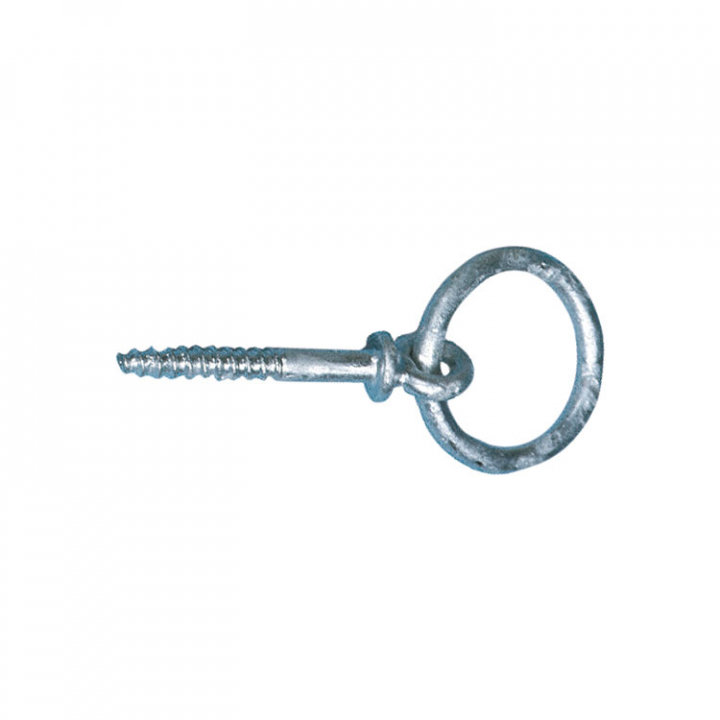 Båtring Galvaniserad Ø10x75 mm 2-pack i gruppen Förtöjning / Bryggtillbehör hos Marinsystem (13532-4-2)