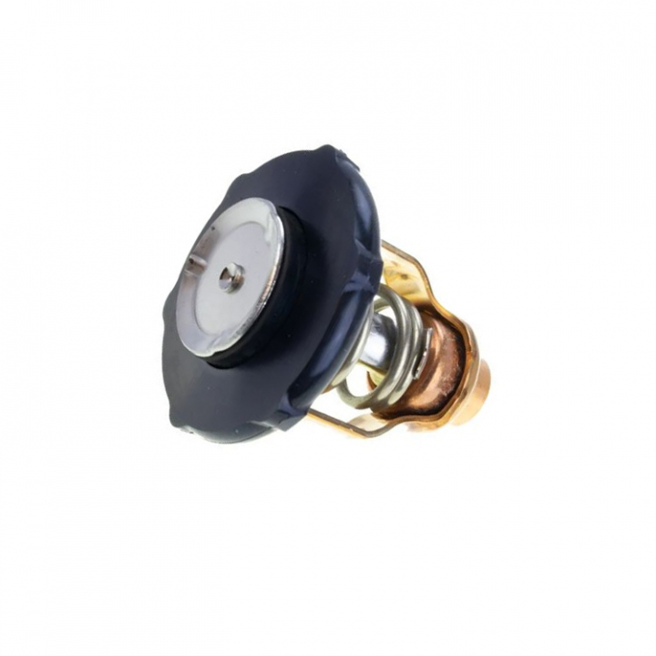Termostat Yamaha 80-100 hk (6FP124110000) i gruppen Motor & Tillbehör / Yamaha / Yamaha Reservdelar & Tillbehör hos Marinsystem (6FP124110000)