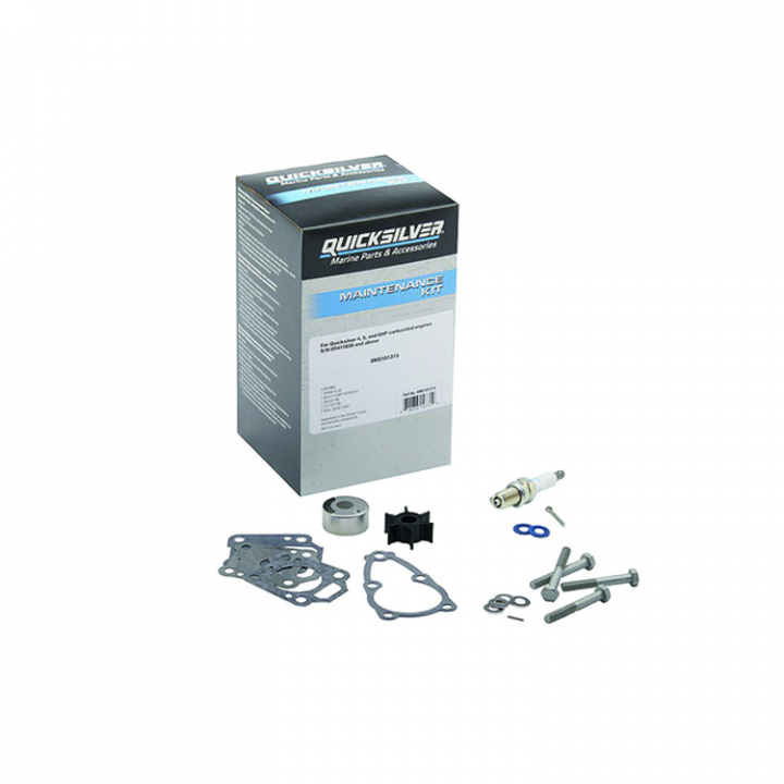 Servicesats 4/5/6 hk Carb (8M0181315) i gruppen Motor & Tillbehör / Mercury / Mercury Servicesatser hos Marinsystem (8M0181315)