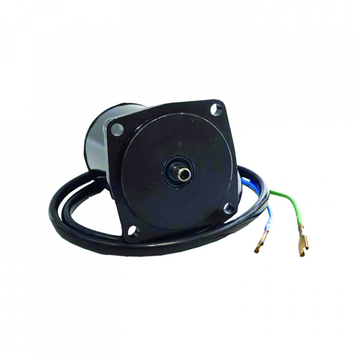 Tilt/Trim Motor Evinrude/Johnson/Honda (8M6014149) i gruppen Motor & Tillbehör / Evinrude/Johnson / Evinrude/Johnson Reservdelar & Tillbehör hos Marinsystem (8M6007526)