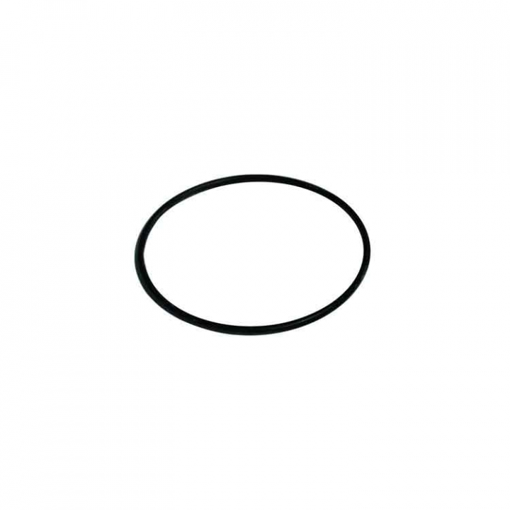 O-ring För LP900 i gruppen Pumpar / Länspumpar & Tillbehör / Reservdelar & Servicesatser hos Marinsystem (M-4012)