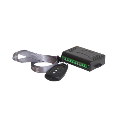 Mini Fjärrkontroll Komplett 12/24 V