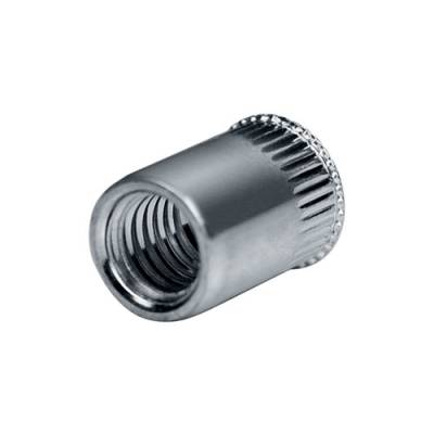 Blindnitsmutter A4 4p Rostfri