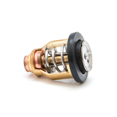 Termostat Yamaha (6FP-12411-00)