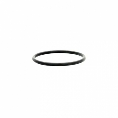 O-Ring (161311)