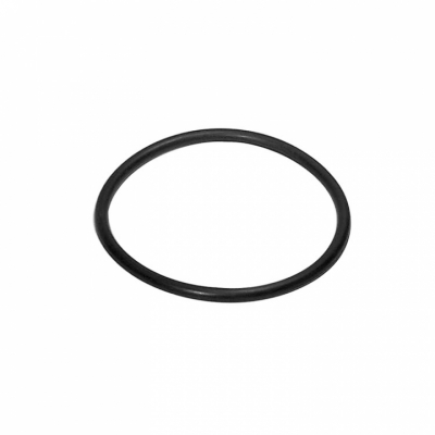 O-Ring (20826)