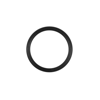 O-Ring (25439)