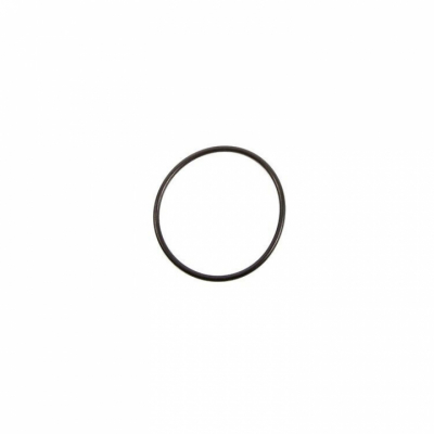 O-Ring (30529)