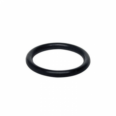 O-Ring (32509)