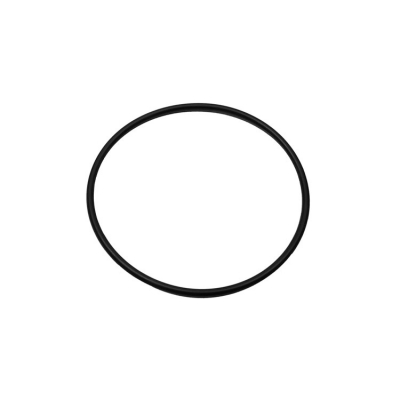 O-Ring (47254)