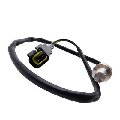 Temperaturgivare (Thermosensor Assy 61A857900100)