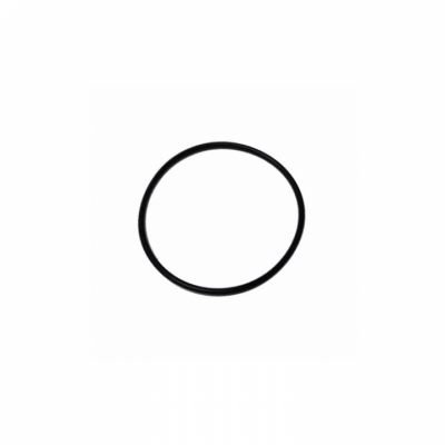 O-Ring (69202)