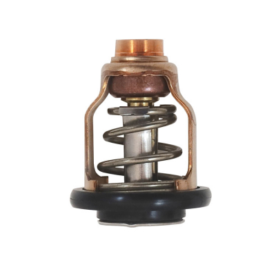 Termostat (Thermostat 6D9124110000)