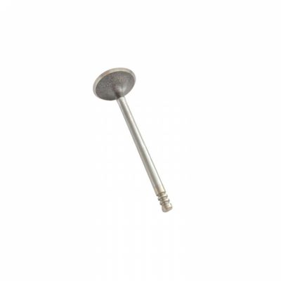 Insugsventil Mercury 75-400 hk (898907)