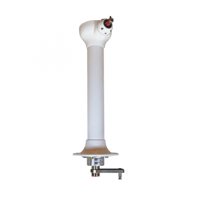 Classic Cobra Cruising