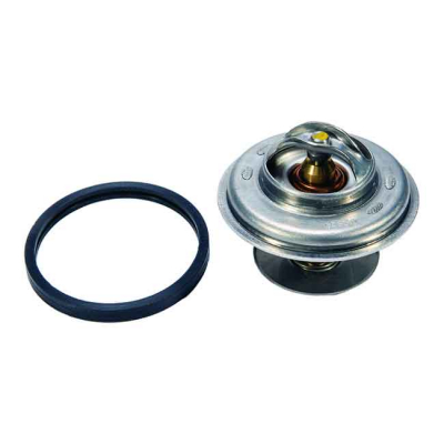 Termostat Med O-ring (8M0093561)