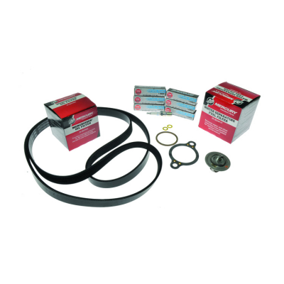 Servicesats 300h Mercruiser 4.3L (8M0147063) 