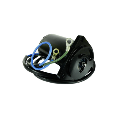 Tilt/Trim Motor Yamaha (8M6014138)