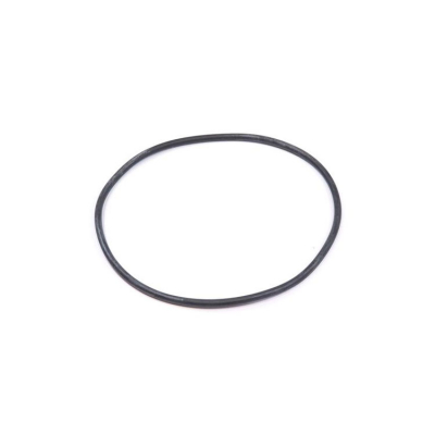 O-Ring (925257)