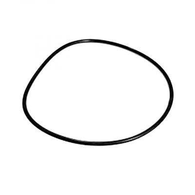 O-Ring (925261)