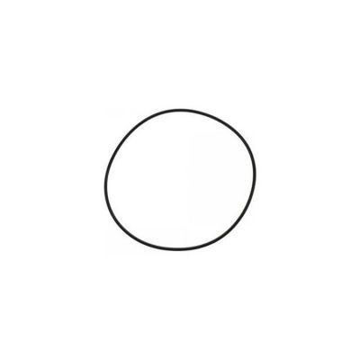 O-Ring (97387)
