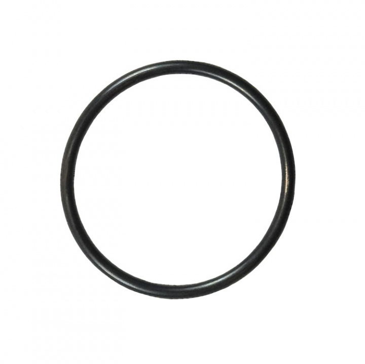 O-ring (0336982)
