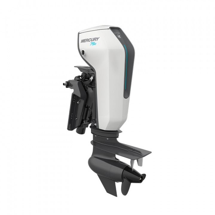 Avator 75E LRCPT L Rigg 20