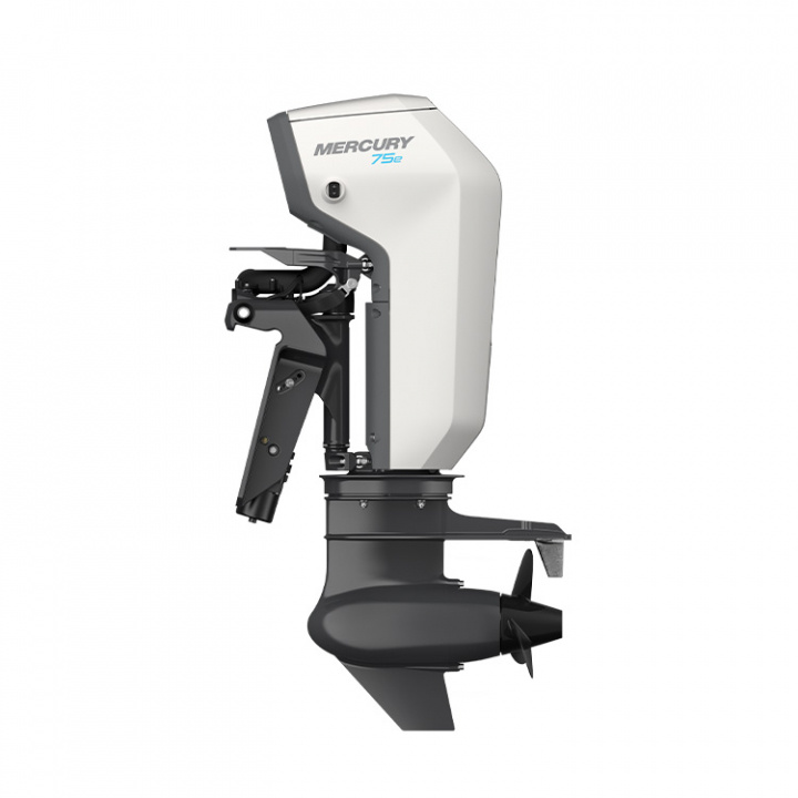 Avator 75E LRCPT L Rigg 20