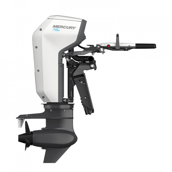 Avator 75E XLHPT XL Rigg 25