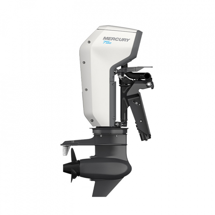 Avator 75E XLRCPT XL Rigg 25