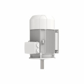 AC Motor 21kW 220VD B35 100Hz AC Motor 21kW 220VD B35 100Hz