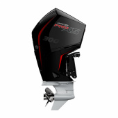 P300 L Pro XS TM 4-Takt 300 hk Lång Rigg 20 P300 L Pro XS TM 4-Takt 300 hk Lång Rigg 20