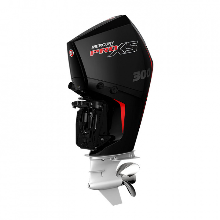 P300 L Pro XS TM 4-Takt 300 hk Lång Rigg 20