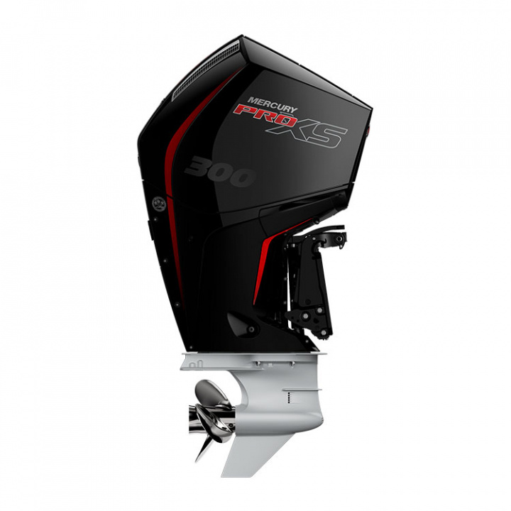 F300 L Pro XS DS 4-Takt 300 hk Lång Rigg 20