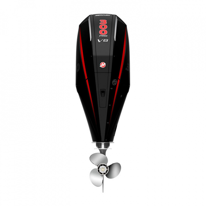 F300 L Pro XS DS 4-Takt 300 hk Lång Rigg 20