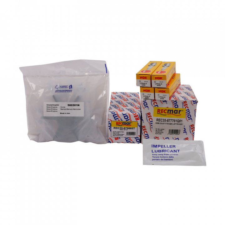 Mercury Servicesats 6 (75/80/9/100/115hk EFI)