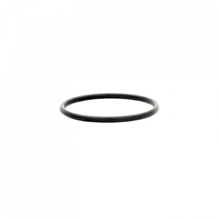O-Ring (161311)