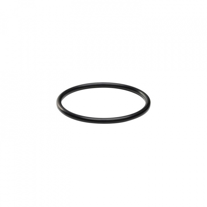 O-Ring (16131)