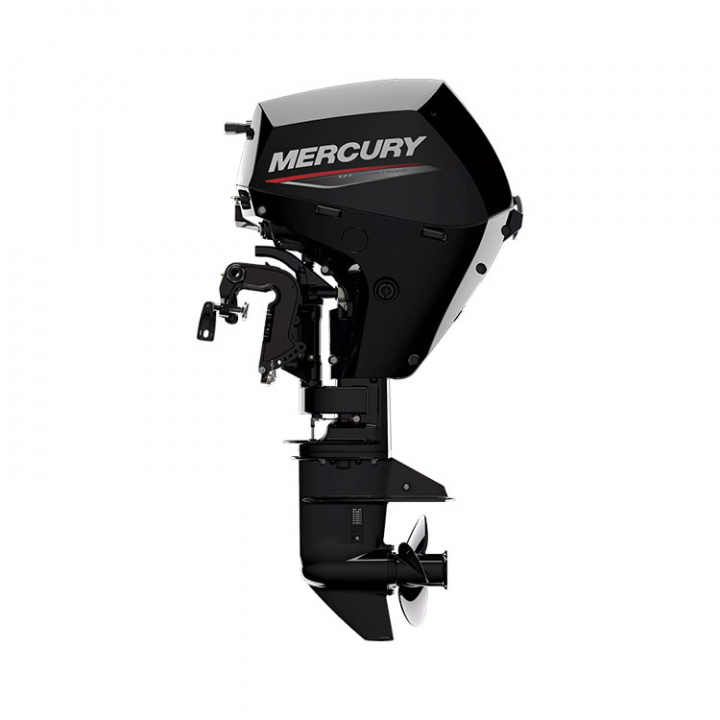 F20 ELPT 4-Takt 20 hk Lång Rigg 20