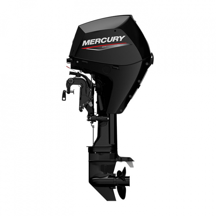 F25 EPT S EFI 4-Takt 25 hk Kort Rigg 15