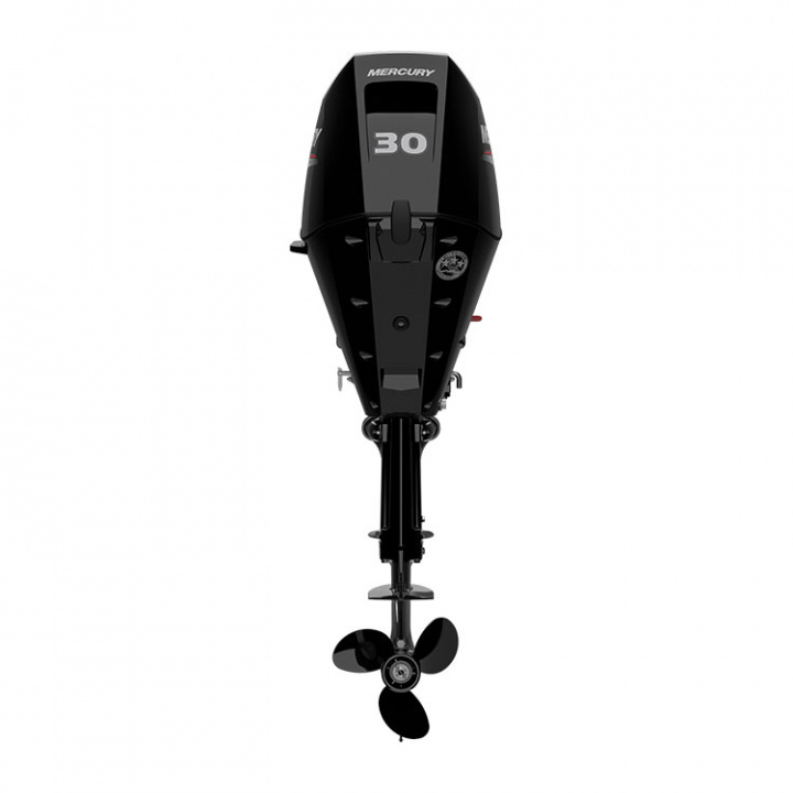 F30 ELPT HD 4-Takt 30 hk Lång Rigg 20