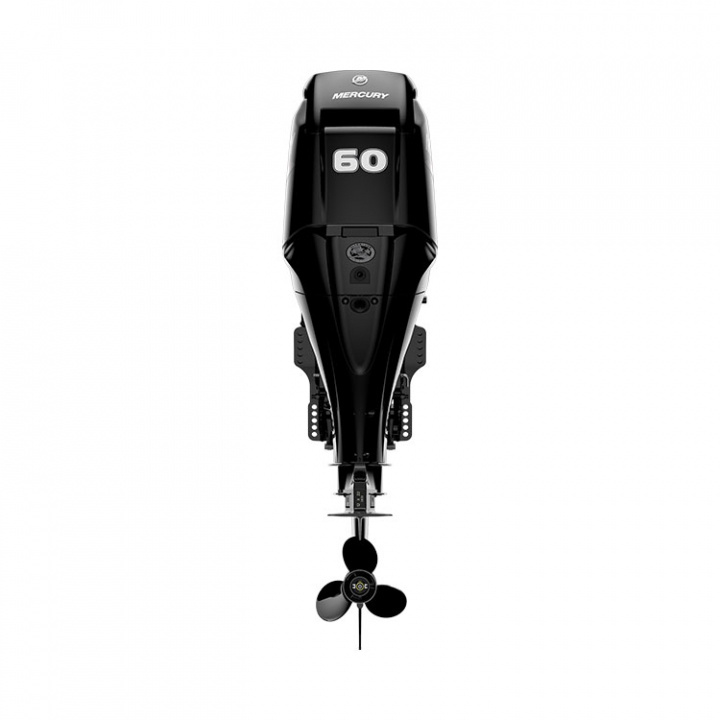 F60 ELPT 4-Takt 60 hk Lång Rigg 20