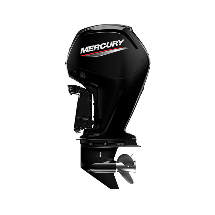 F80 ELPT 4-Takt 80 hk Lång Rigg 20