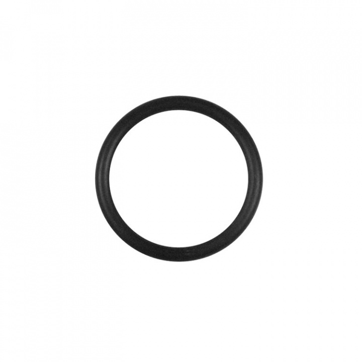 O-Ring (25439)