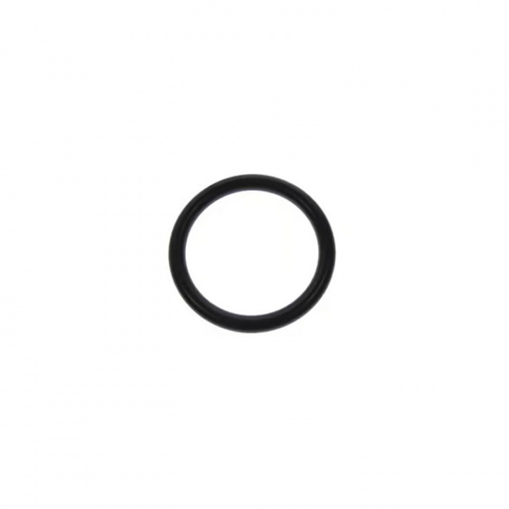 O-Ring (26318T)