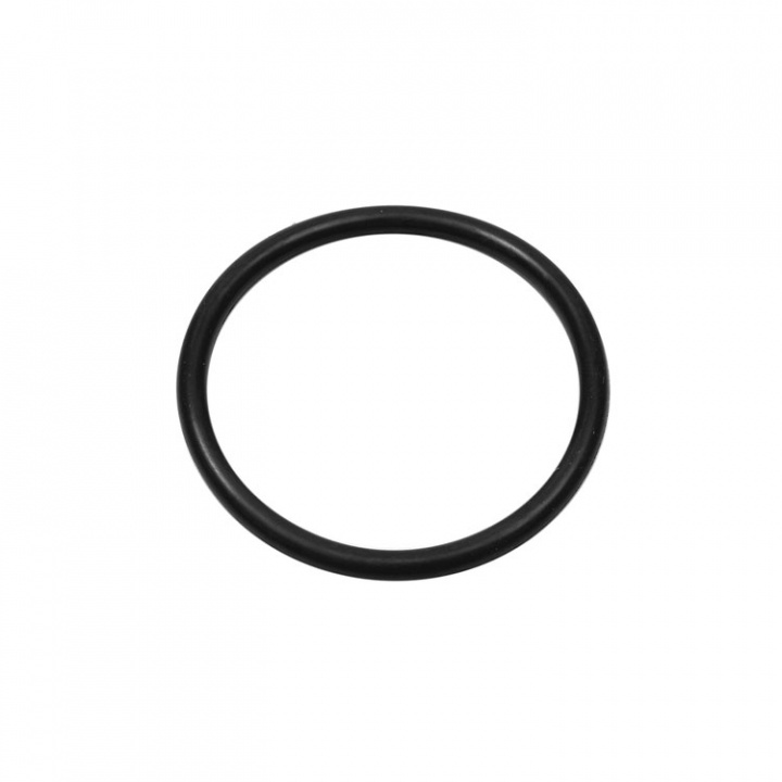 O-Ring (26855)