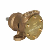 Pump brz ped 010 1/4 Pump brz ped 010 1/4