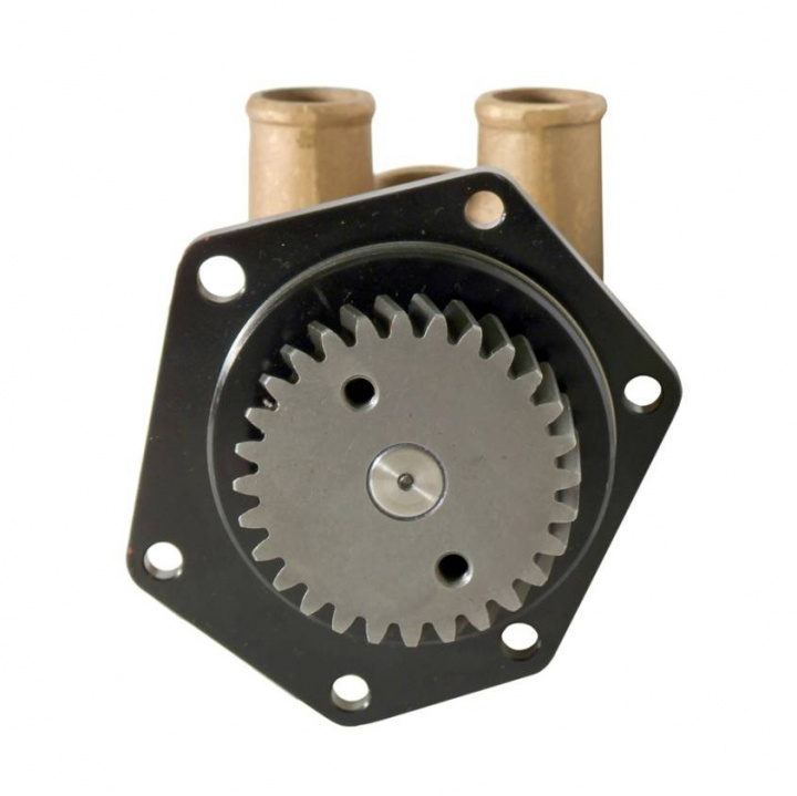 Pump BRZ FLG 080 Hose (Perkins 1000)