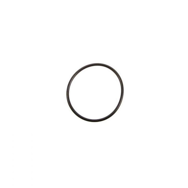 O-Ring (30529)