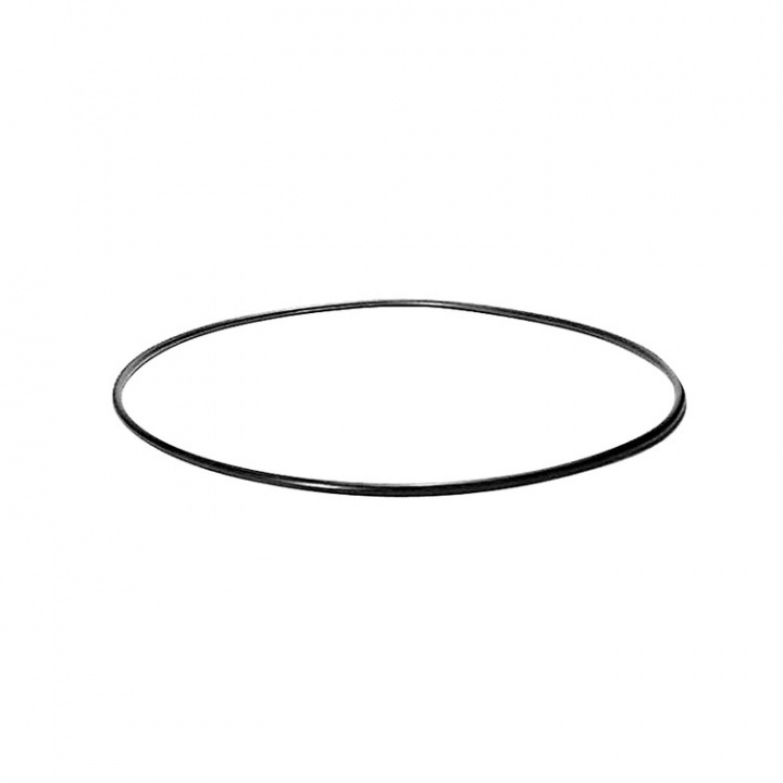 O-Ring (32546)